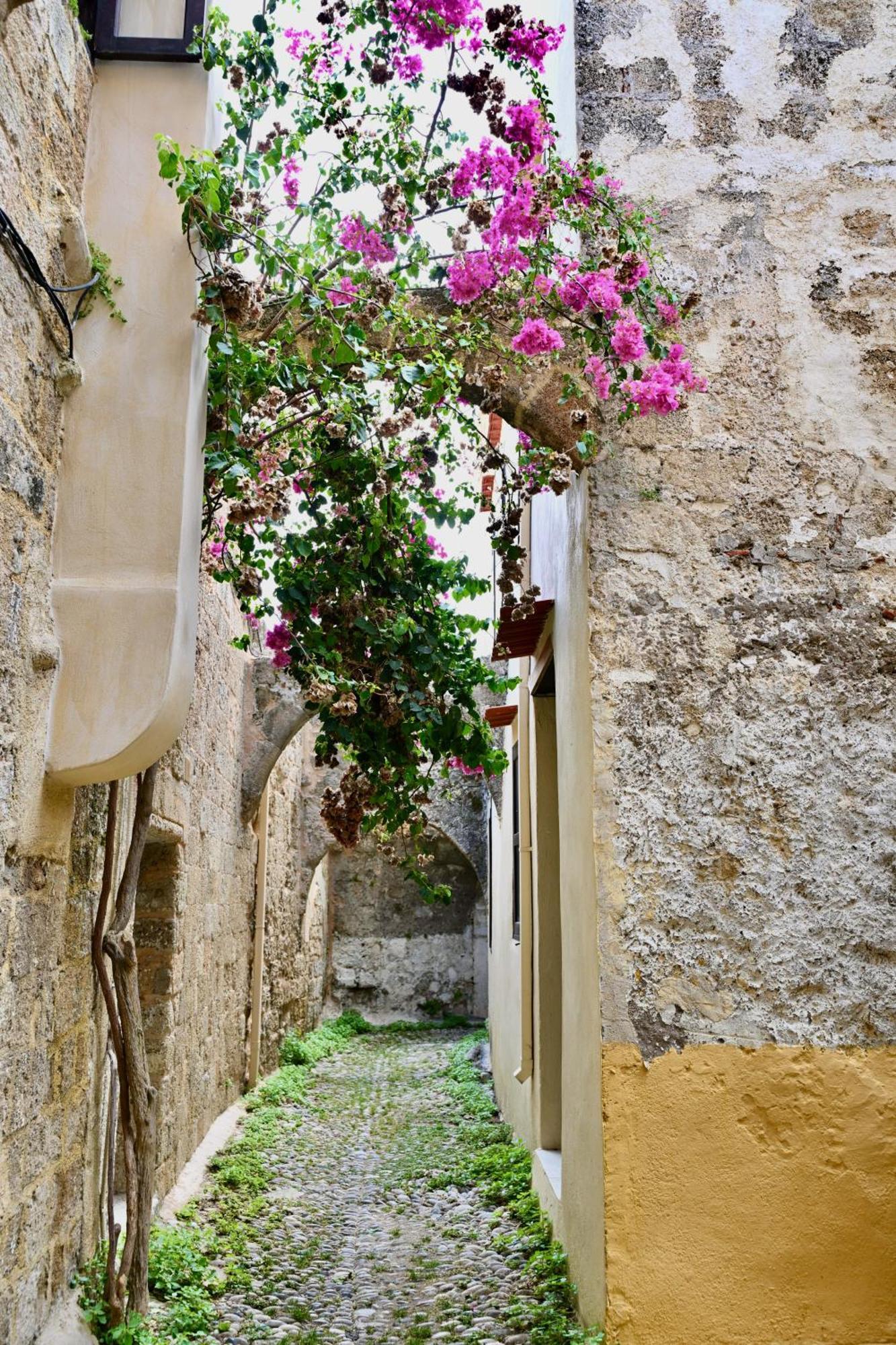 Апартаменты Penelope Garden House Old Town Родос Экстерьер фото